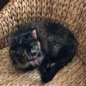 Meet your Posher, Marsha